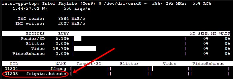 Config Detectors ของ Frigate ด้วย Intel GPU